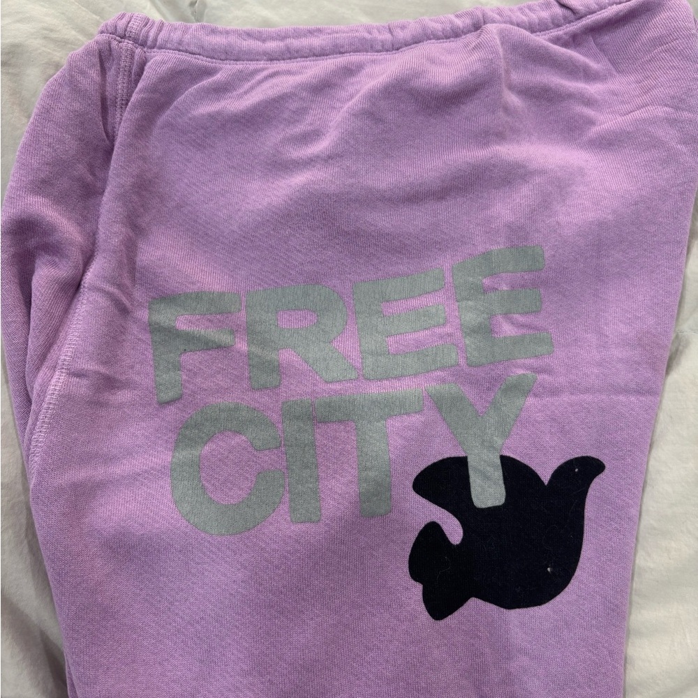freecity  Purple Sweatpants- barely worn!